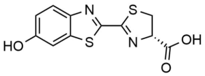D-Luciferin