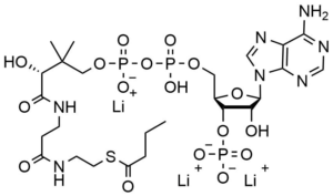 Butyryl Coenzyme A lithium salt