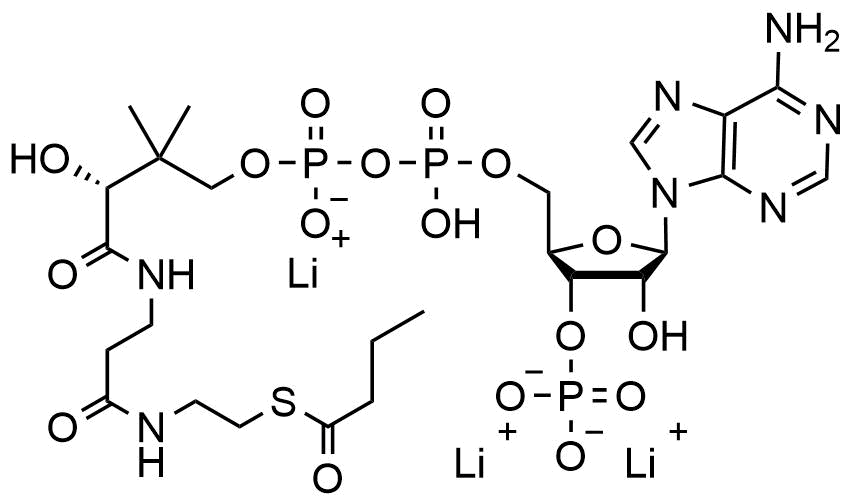 Butyryl Coenzyme A lithium salt