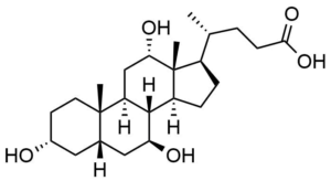 Ursocholic Acid
