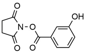 3-Hydroxy-benzoic acid 2,5-dioxo-pyrrolidin-1-yl ester