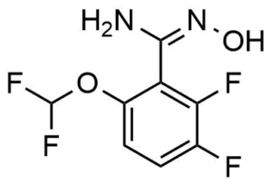 6-Difluoromethoxy-2,3-difluoro-N-hydroxy-benzamidine