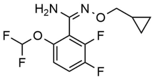 N-Cyclopropylmethoxy-6-difluoromethoxy-2,3-difluoro-benzamidine