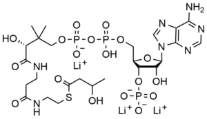 DL-3- Hydroxybutyryl coenzyme A lithium salt