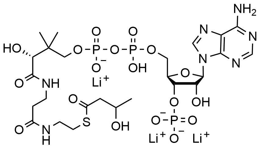 DL-3- Hydroxybutyryl coenzyme A lithium salt