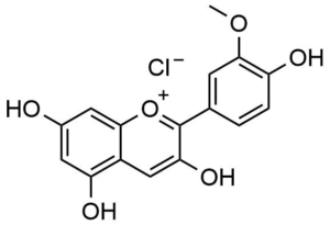 Peonidinchlorid
