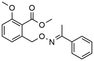 2-Methoxy-6-(1-phenyl-ethylideneaminooxymethyl)-benzoic acid methyl ester