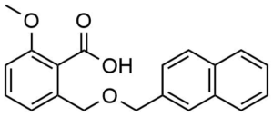 2-Methoxy-6-(naphthalen-2-ylmethoxymethyl)-benzoic acid