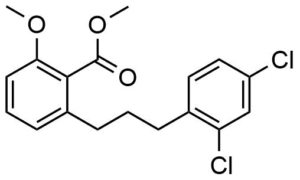 2-(5-tert-Butyl-2-methyl-benzyloxymethyl)-6-methoxy-benzoic acid