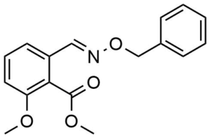 2-(Benzyloxyimino-methyl)-6-methoxy-benzoic acid ethyl ester