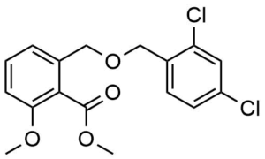 2-(2,4-Dichloro-benzyloxymethyl)-6-methoxy-benzoic acid methyl ester