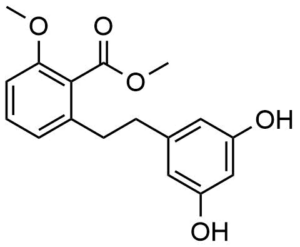 2-[2-(3,5-Dihydroxy-phenyl)-ethyl]-6-methoxy-benzoic acid methyl ester