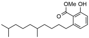 2-(5,9-Dimethyl-decyl)-6-hydroxy-benzoic acid methyl ester